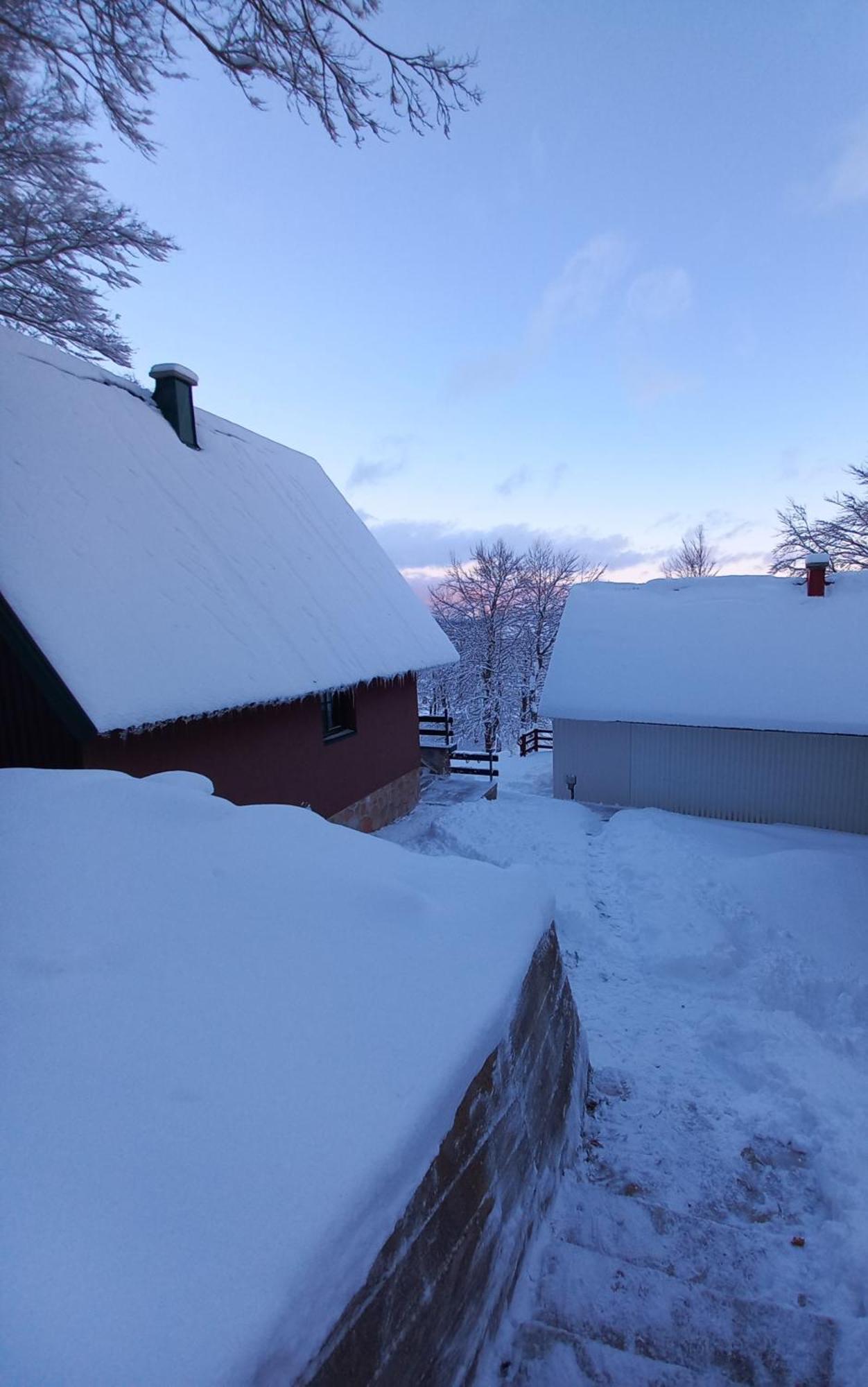 Vila Darija Zabljak  Exterior photo